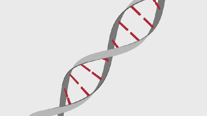 Genetikk og DNA