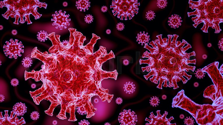 coronavirus