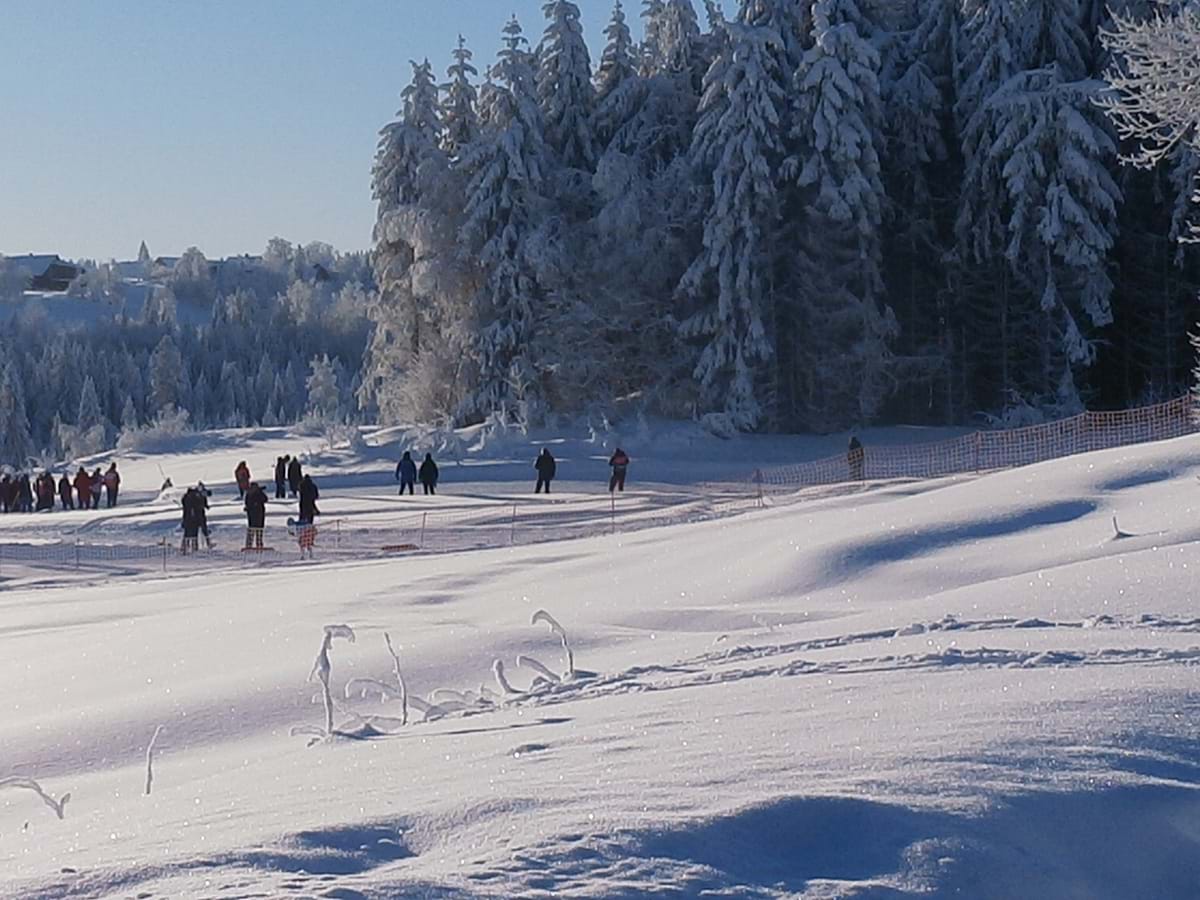Bilde fra norgesmesterskapet p&#229; ski p&#229; Vind, Gj&#248;vik.