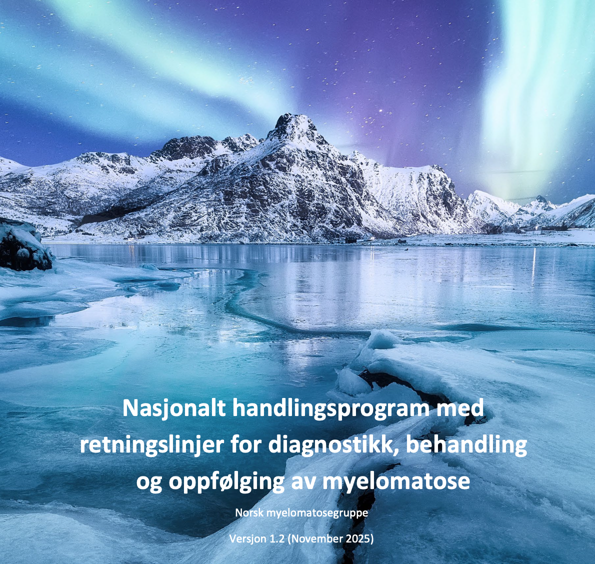 Frontside til nyeste handlingsprogram for myelomatose