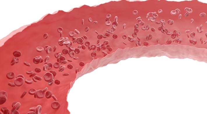 Røde blodlegemer i kutt som strømmer gjennom årer fra det menneskelige sirkulasjonssystemet.