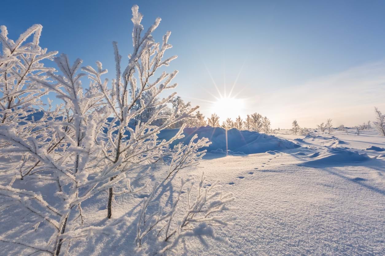 Norsk vinterlandskap. Foto: Istockphoto.com