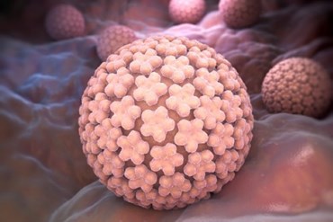 hpv-virus