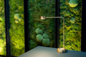 En lampe på Legenes hus, med en mosevegg bak. Foto: Legeforeningen